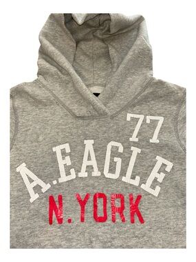 American Eagle Outfitters Light Gray Hoodie